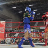 Եվս 1 մեդալ մուայթայի WBC աշխարհի առաջնությունից