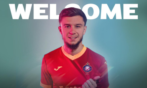 Փյունիկը նորեկ ունի