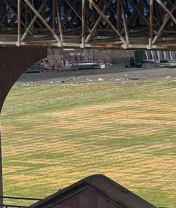 Ցլամարտից մինչև Ջենիֆեր Լոպես. ի՞նչ խնդիրների է բախվում Հանրապետական ստադիոնը