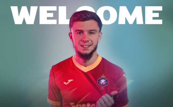 Փյունիկը նորեկ ունի