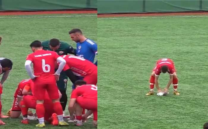  Թուրքիայում դարպասապահը գնդակով հարվածել է ճային ու թռչնին տապալել խոտածածկին (տեսանյութ)